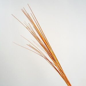 72e0bcc8-e890-419b-aff6-3cc01b016ea6-300x300