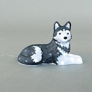 7529f418-dd88-4c79-bad7-8c46278a8109-300x300