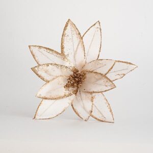 807d40f5-cc72-46cf-b7cb-fb8715a9c3c2-300x300