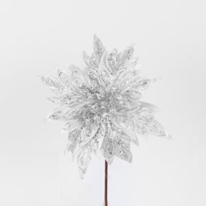 817a77ba-61db-4d26-9559-75848cb26236-300x300