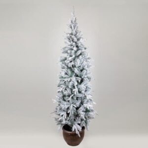 82022639-4f0a-423d-80f5-bf6cc1c2a37d-300x300