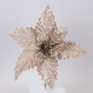 84c42cfc-44c8-4a0d-933c-a20c0f7818d0-300x300