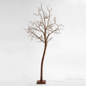 888ddbfd-4ab1-4192-8923-e9d599ca82ed-300x300