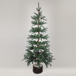 8d8cddbf-7a15-4cef-ae03-25a9663ee978-300x300