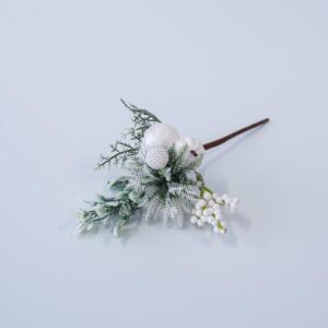 919fe8fe-3488-414a-b665-564e66608aa7-300x300