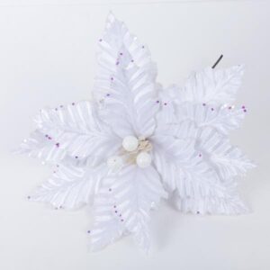 970fa744-e4fb-42f4-b22d-a7252ab4b50a-300x300