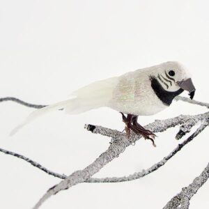 9a5e753c-47ca-435c-8ac9-cb5133f5a5c6-300x300