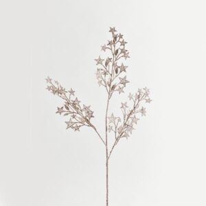 9f5504e0-ac51-4f8c-bd39-a7630cc651d9-300x300