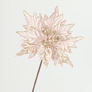 a13b8eff-70f8-470f-a18f-9647c68586f2-300x300