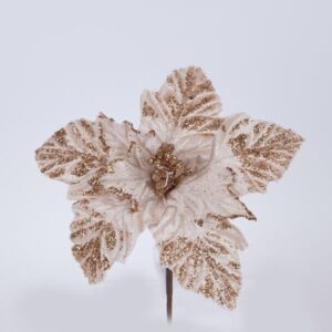 a1cc4485-73fa-49e3-af7f-3700fff1f103-300x300