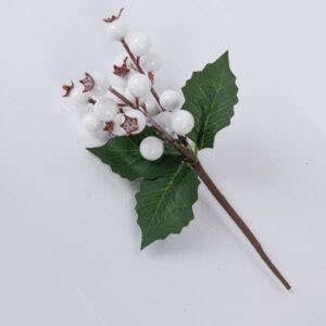 a4a87b92-a5fa-4db9-afb4-bbae538b40c3-300x300