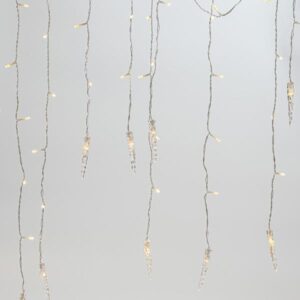 a851b29f-6209-490f-8131-9faeb579c9e4-300x300