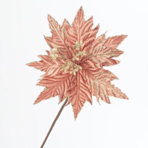 ae052380-fae5-46f0-8166-a413ba7406e9-300x300