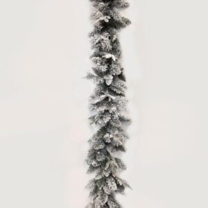 b3a70e79-37a6-4d3e-91d1-087c6374db76-300x300