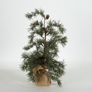 b4da18af-3cb2-4a50-b289-83c34f821083-300x300