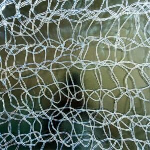 b59d0048-68c0-4f00-81fb-e31db371f09b-300x300