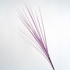 b683c215-a665-42d8-9fb8-5cf85d8c8d8b-300x300