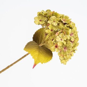 b86db0bc-fb0c-4516-adce-af6b6844294f-300x300