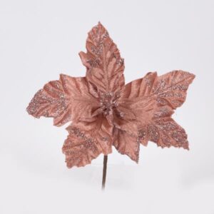 bc870fde-5910-467b-9d55-afbb2da9c64f-300x300