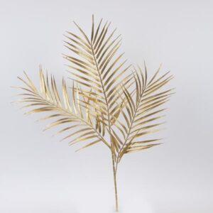 bcadf9ad-60d2-486e-9c5a-99082ac2e2a4-300x300