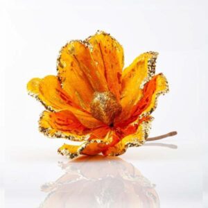 bfe2c0cd-7710-49a0-83ac-cd4b71d4c415-300x300