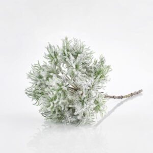 c03c1a5f-c5f6-40e3-b0a5-b00064ebc23f-300x300