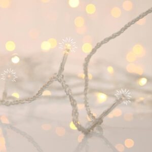 c0839173-00dc-4738-a590-c6e7fa7a5ab3-300x300