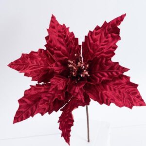 c4a34e86-8e9a-481b-a1c9-cd8bbf68b6a2-300x300