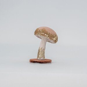 c4c568b0-11f6-4a4a-b96a-02a0095722f7-300x300