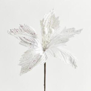 c76b9e79-bb4a-49c4-a413-d0dbb809ca7e-300x300