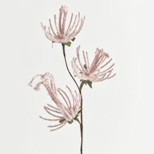 ca980bb7-d9cb-47bf-9614-547767350783-300x300