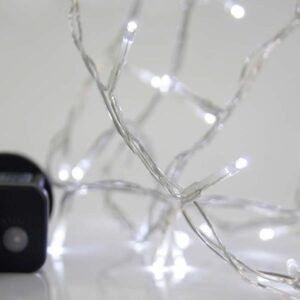 cc17f572-4271-4620-901b-f62c6490506d-300x300