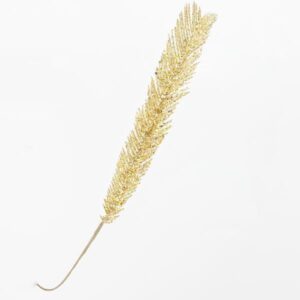 cc594e16-a7ed-4bff-87c0-4e9438754886-300x300