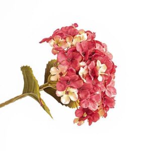 ceb44cfd-2ac8-4db7-be85-67cdea1ba5d9-300x300