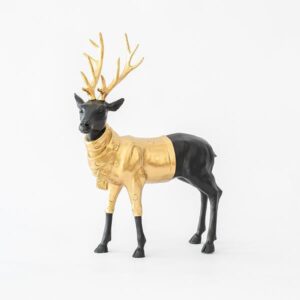 d294eea9-5cfd-4b69-b0c8-5e07378afb12-300x300