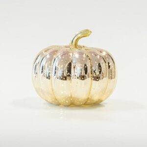 d5a00e62-9435-4f6c-87be-fd7eb1048e27-300x300