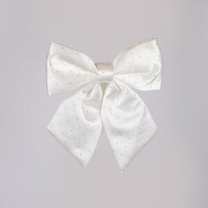 d815a84d-0a58-4d2b-a523-e044d7365133-300x300