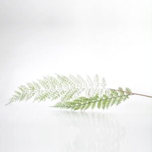 d8fcb1d4-664b-4147-a8f3-a0d832c07aff-300x300