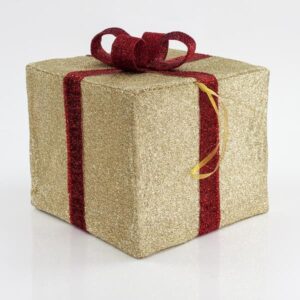 da2fe7b9-b25d-4741-9269-12629fa947a7-300x300