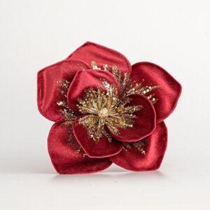 e1278f9f-3849-4395-9440-11bcf831a696-300x300