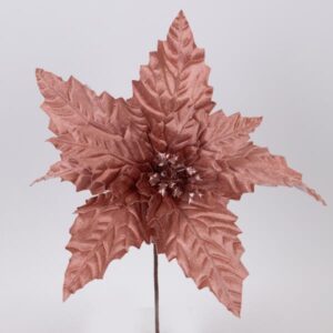 ed88d5b1-a71a-491c-8c19-4ddd73f5d1c2-300x300