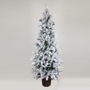 ee1c72f9-4116-4b98-948b-e8dd4d61e34f-300x300