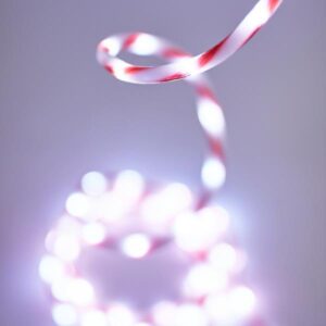 f701ac3e-b09f-496a-ab85-c168a8afc13e-300x300