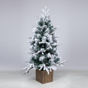 fc15b450-2b32-4da9-8981-77bfb77a7f6d-300x300