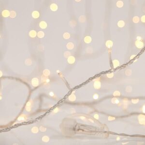 fd036dc6-df2d-42e6-ba0b-3637d25481b5-300x300