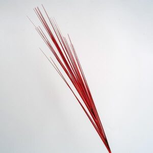 fe7c1196-6908-4a60-b713-179f157abf35-300x300