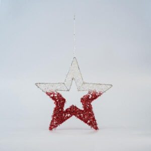 ff81653d-5f62-4ba0-9a50-edee107e0c8a-300x300